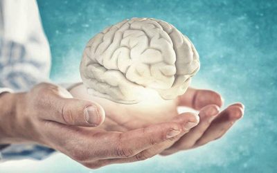Salud cerebral: La importancia de mantener un cerebro saludable para el bienestar general