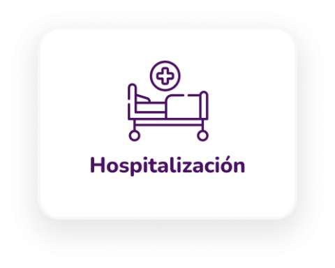 hospitalizacion-480x384 ícono hospitalización